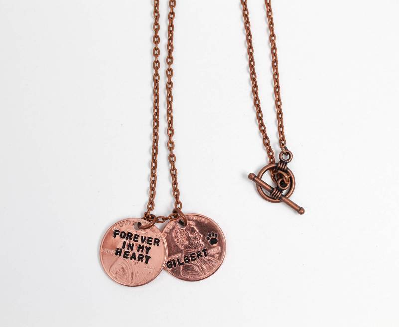 Haustier Erinnerung Halskette, Für Immer in Meinem Herzen, Verlust Von Geschenk, Sympathie Des Hundes, in An Hund, Hund Haustier Erinnerung Halskette, Für Immer in Meinem Herzen, Verlust Von Geschenk, Sympathie Des Hundes, in An Hund, Hund von OuterWonders