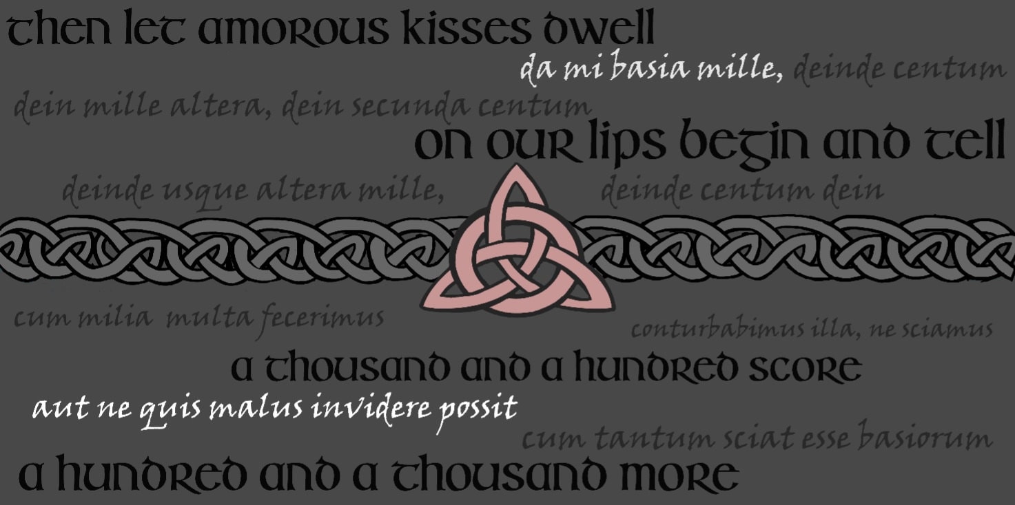 Outlander Tuch // Catull Gedicht Da Mi Basia Mille/Grau Outlander Tuch // Catull Gedicht Da Mi Basia Mille/Grau von OutlanderScarvesArt