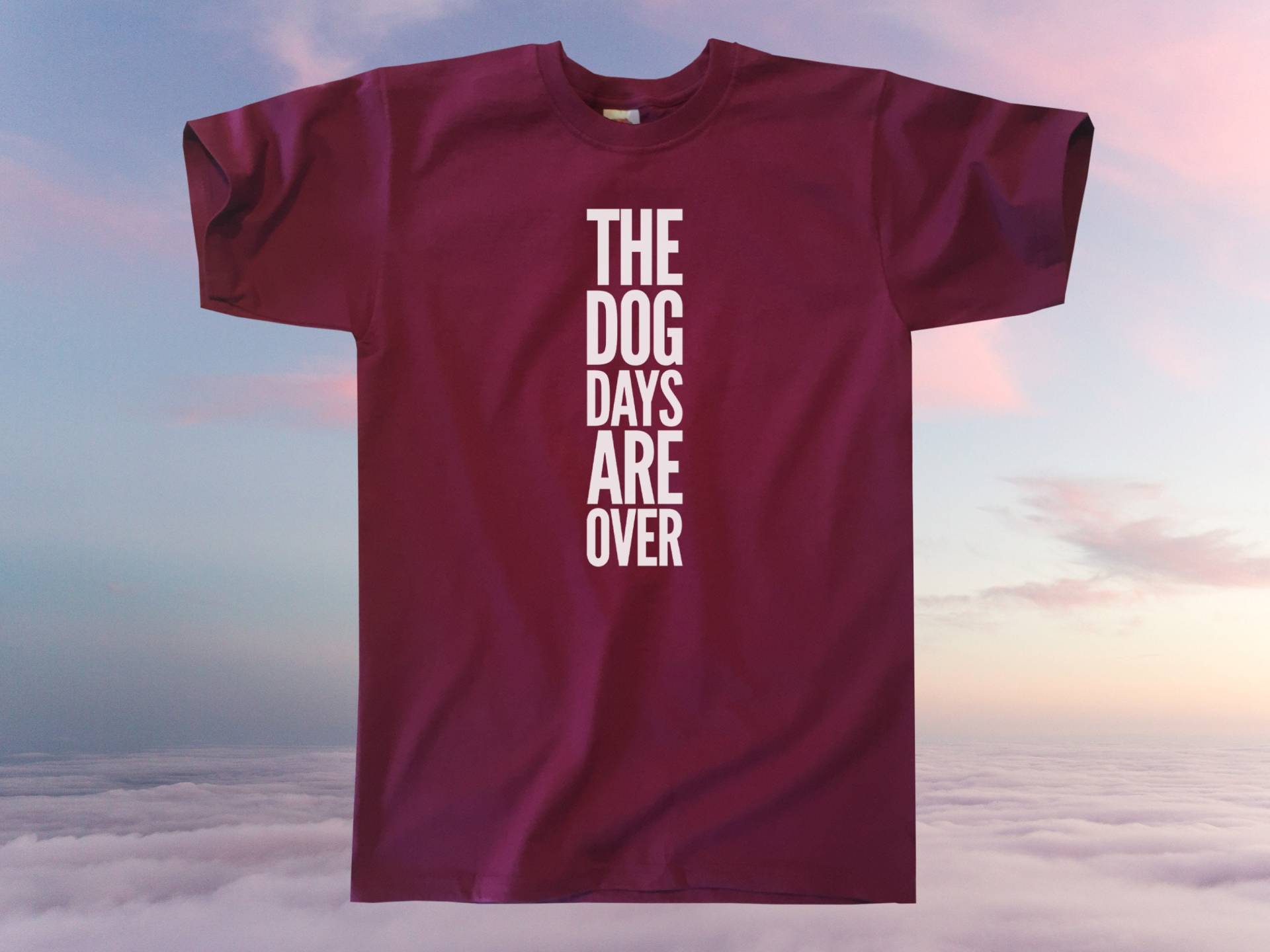 Die Hundetage Sind Vorbei T-Shirt || Unisex/Herren S M L Xl von Outsidertees