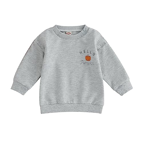 Owegvia Toddler Halloween Outfit Long Sleeve Crewneck Pumpkin Print Pullover Tops Halloween Toddler Shirt Unisex Clothes (Gray 01, 3-4 Years) von Owegvia