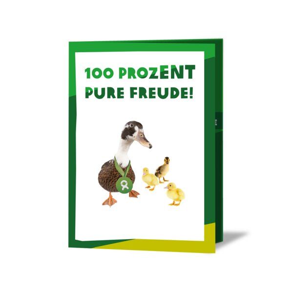 OxfamUnverpackt Spenden-Geschenk "Entenfamilie" (Grußkarte mit Magnet) von OxfamUnverpackt