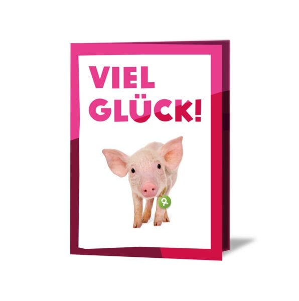 OxfamUnverpackt Spenden-Geschenk "Ferkel" (Grußkarte mit Magnet) von OxfamUnverpackt