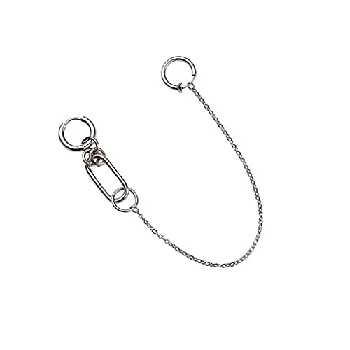 Cool Quaste Nasenkette Hoop Ohrringe Punk Für Kreative Gefälschte Perforierte Lippenring Ein Stück Einfacher Modeschmuck Für WOM Ohrring Ohrclip von Oxxggkao