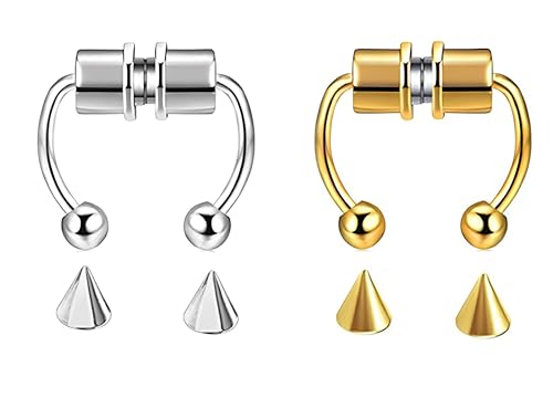 Ozmw 2 Stücke Magnetischer Septum Nasenring, Hufeisenring für Damen Mann, Wiederverwendbar(1 gold, 1 silber) von Ozmw