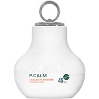 P.CALM - Cicalacto Exosome 45 Sleeping Mask 50g P.CALM - Cicalacto Exosome 45 Sleeping Mask 50g von P.CALM