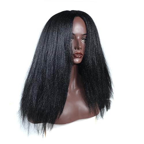 PACKOVE Perücke Schwarz Bouffant-perücke Für Frauen Afro-perücke Maisbart-perücke Afro-lockige-haarperücken Haarverlängerungen Synthetische Haarhaube Flauschig Schwarz Mit von PACKOVE