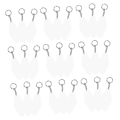 PACKOVE 30 Sätze Schlüsselanhänger Schlüsselringe Foto hängendes Etikett ID-Tags Etiketten Schlüsselbund Erkennungsmarken Schlüssel-ID-Label leer Schlüsselwort Acryl von PACKOVE