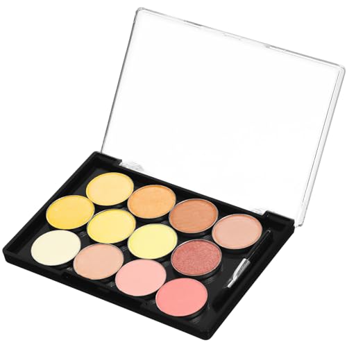 PACKOVE Magnetische Lidschattenpalette Leer Lidschattenpaletten-organizer Mit Transparenter Abdeckung Make-up-schale Aus Kunststoff Für Damen Leicht Und Tragbar Als Für von PACKOVE