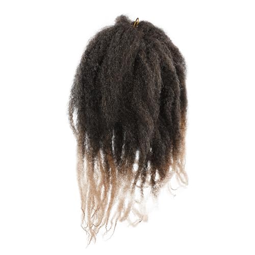 PACKOVE Raupe Perücke Haarverlängerungen Häkeln Frauen Flechten Perücke Zum Flechten Von Haaren Verdrehte Zöpfe Gehäkelte Geflochtene Haarverlängerungen Häkeln Zöpfe Chemische Faser von PACKOVE