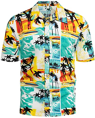 PADOLA Hawaii Hemd Männer Funky Kurzarmhemd Herren Bedruckt Hawaii Hemd Blumen Strandhemd 80er Jahre Outfit Sommer Hemd (Sommer Strand, 2XL) von PADOLA