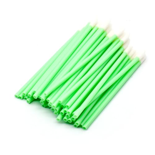 PAITOK Einweg-Lippenpinsel, 200 Stück Lippenapplikator Einweg-Lippenstift Pinsel Applikator Lip Gloss Concealer Pinsel Makeup Werkzeuge für Lippen Augen (Grün) von PAITOK