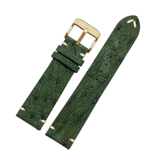 PAKMEZ Leder Uhrengurt 18-22mm Leder Ersatzwachenbänder mit rostfreier Schnalle, Grüne Pin Gold, 20mm von PAKMEZ