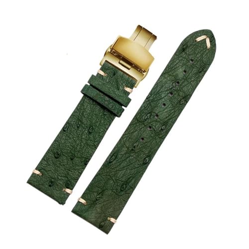 PAKMEZ Leder Uhrengurt 18-22mm Leder Ersatzwachenbänder mit rostfreier Schnalle, Grünes Klappgold, 20mm von PAKMEZ
