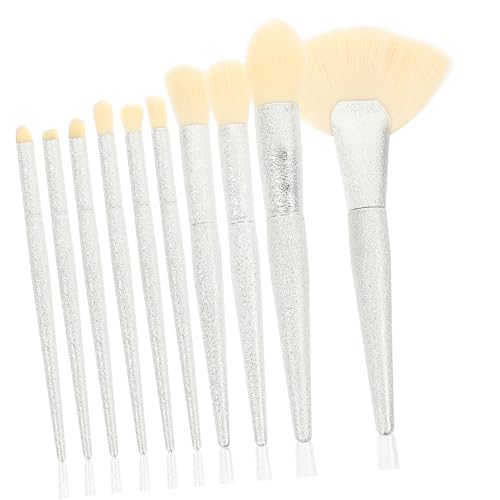 PAMINGONO Schminkpinsel Set 10 Teiliges Pinselset Für Makeup Professionelle Makeup Pinsel Für Gesicht Und Augen Transparentes Design Mit Mattem Silbergriff Ideal Für Rouge Lidschatten Und Highlighter von PAMINGONO