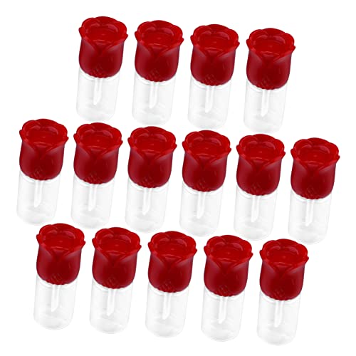 PAMINGONO 15 Stücke Selbstgemacht Lip Gloss Klare Leere Tuben Lippenbalsam Flasche Wiederverwendbar für Reisen und Zuhause von PAMINGONO