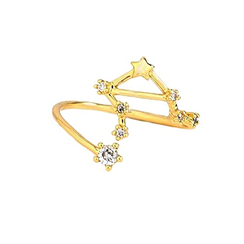 PAMTIER Damen Mädchen Ring mit 12 Chinesischen Sternzeichen Einstellbare Größe Ringschmuck Gold Waage von PAMTIER