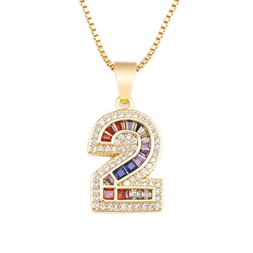 PAMTIER Farbige Ketten für Frauen und Männer Zahlenkette Edelstahl Anhänger Personalised Cubic Zirconia Delicate Schmuck Zahl 2 von PAMTIER