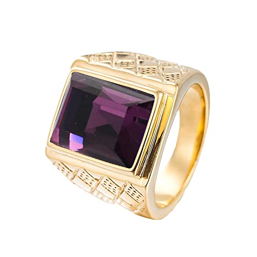 PAMTIER Herren Damen Ringe Rostfreier Stahl Quadratisches Juwel Mode-Persönlichkeit Schmuck Jubiläum Vergoldetes Lila 62 (19.7) von PMTIER
