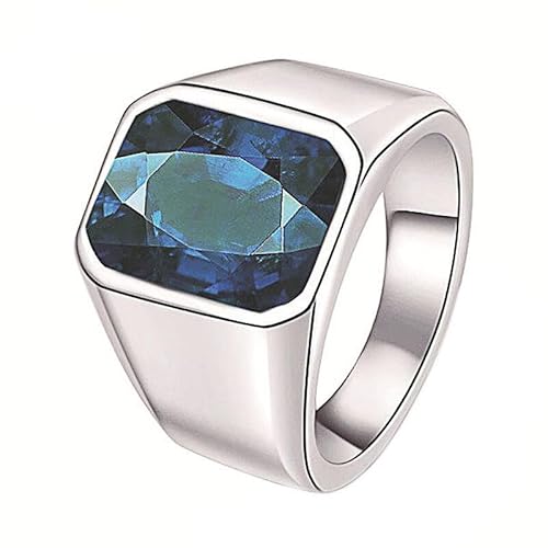 PAMTIER Herren Edelstahl Klassisch Retro Einfach Neuartig Edelstein Ring Silber Größe 54(17.2) von PAMTIER