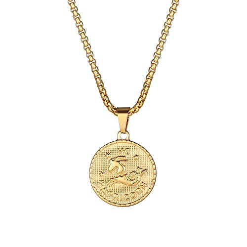 PAMTIER Herren Edelstahl Runde Münze Sternzeichen Halskette Sternzeichen Horoskop Anhänger mit Kette Gold Steinbock von PAMTIER