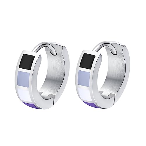 PAMTIER LGBT Unisex Edelstahl Personalisierter Regenbogen Kreativ Exquisit Kompakt Ohrring Asexual von PAMTIER