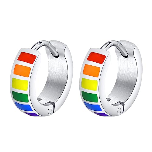 PAMTIER LGBT Unisex Edelstahl Regenbogen Persönlichkeit Trend Temperament Exquisit Ohrring Silber Have Pierced Ears von PAMTIER