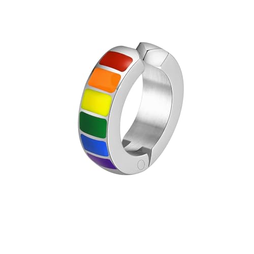 PAMTIER LGBT Unisex Edelstahl Regenbogen Persönlichkeit Trend Temperament Exquisit Ohrring Silber Non Pierced von PAMTIER
