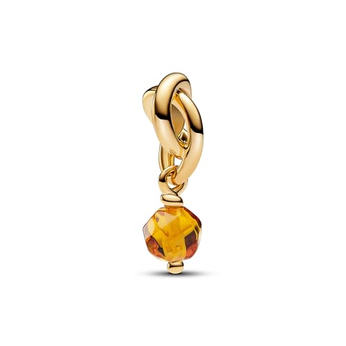 PANDORA Moments Facettierter honiggelber Ewigkeitskreis Charm-Anhänger aus Sterling Silber mit vergoldeter Metalllegierung und künstlichem Kristall, Kompatibel Moments Armbänder, 763462C11 PANDORA Moments Facettierter honiggelber Ewigkeitskreis Charm-Anhänger aus Sterling Silber mit vergoldeter Metalllegierung und künstlichem Kristall, Kompatibel Moments Armbänder, 763462C11 von PANDORA