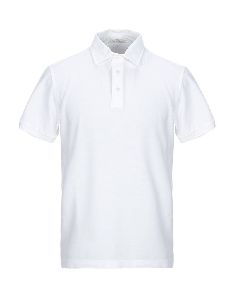 PANICALE Poloshirt Herren Weiß von PANICALE