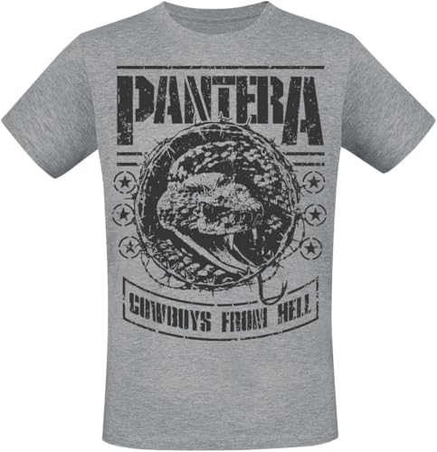 PANTERA CFH Stencil Snake Männer T-Shirt grau meliert XL von PANTERA