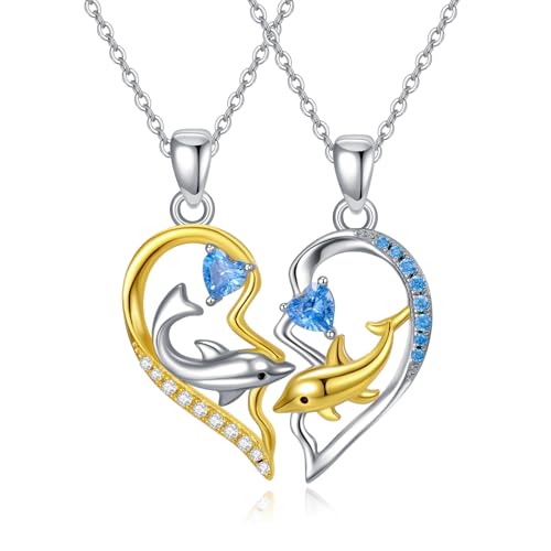 PARYFO Paare Halskette Sterling Silber Ihn und Ihn Passende Halskette Doppel-Delfine Halskette Ozean Schmuck Velentines Schmuck Geschenke für Paar Sie Frauen Mädchen Mama von PARYFO