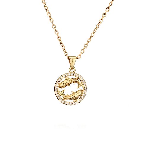 PAURO Damen Edelstahl Runde Cubic Zirkonia Gold Einfache 12 Sternzeichen Sternzeichen Halskette Fische von PAURO