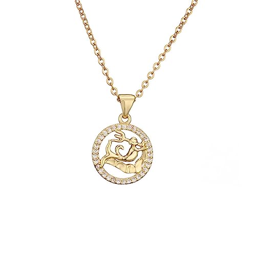 PAURO Damen Edelstahl Runde Cubic Zirkonia Gold Einfache 12 Sternzeichen Sternzeichen Halskette Wassermann von PAURO
