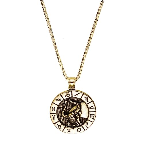 PAURO Herren Edelstahl Jahrgang 12 Konstellationen Münze Tierkreiszeichen Anhänger Halskette Personalisierte Horoskop Schmuck Gold Schwarz Stier von PAURO