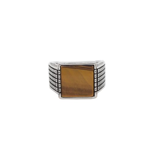 PAURO Herren Edelstahl Jahrgang Personalisiertes Quadrat Braun Edelstein Siegel Ringe Silber Größe 68 (21.6) von PAURO