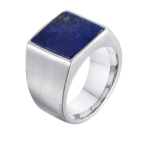 PAURO Herren und Damen Edelstahl Kreativ Personalisiert Vierteilig Stempel Ultramarin Sternenhimmel Edelstein Ringe Silber Größe 60 (19.1) von PAURO