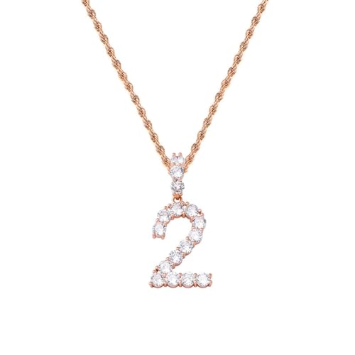 PAURO Minimalistische Nummer 2 Halsketten für Frauen Männer Edelstahl Hip Hop Nummer CZ Anhänger Charme Halskette, Rose Gold von PAURO