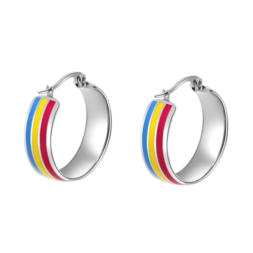 PAURO Unisex Edelstahl Einfaches LGBT Design Modell Persönlichkeit Ohrring Silber Pansexuell von PAURO