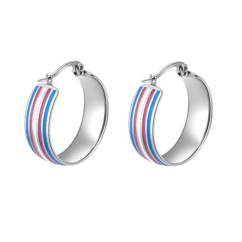 PAURO Unisex Edelstahl Einfaches LGBT Design Modell Persönlichkeit Ohrring Silber Transgender von PAURO