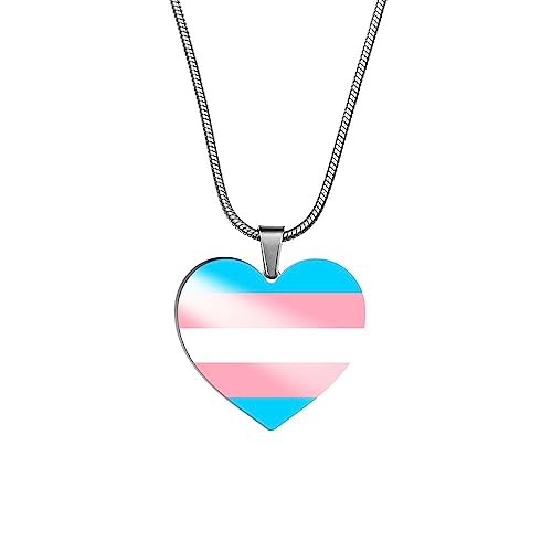 PAURO Unisex Edelstahl Personalisierte Regenbogen Stolz LGBT Herz Anhänger Halskette für Transgender von PAURO