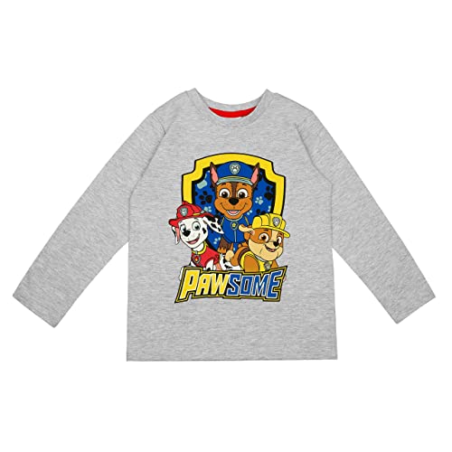 PAW PATROL Jungen Langarmshirt in verschiedenen Designs (Grau, 110) von PAW PATROL