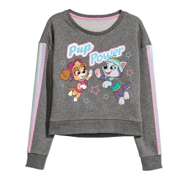 PAW PATROL Rundhalspullover PAW Patrol Rundhals-Pullover "Pup Power", Skye & Everest, Grau von PAW PATROL