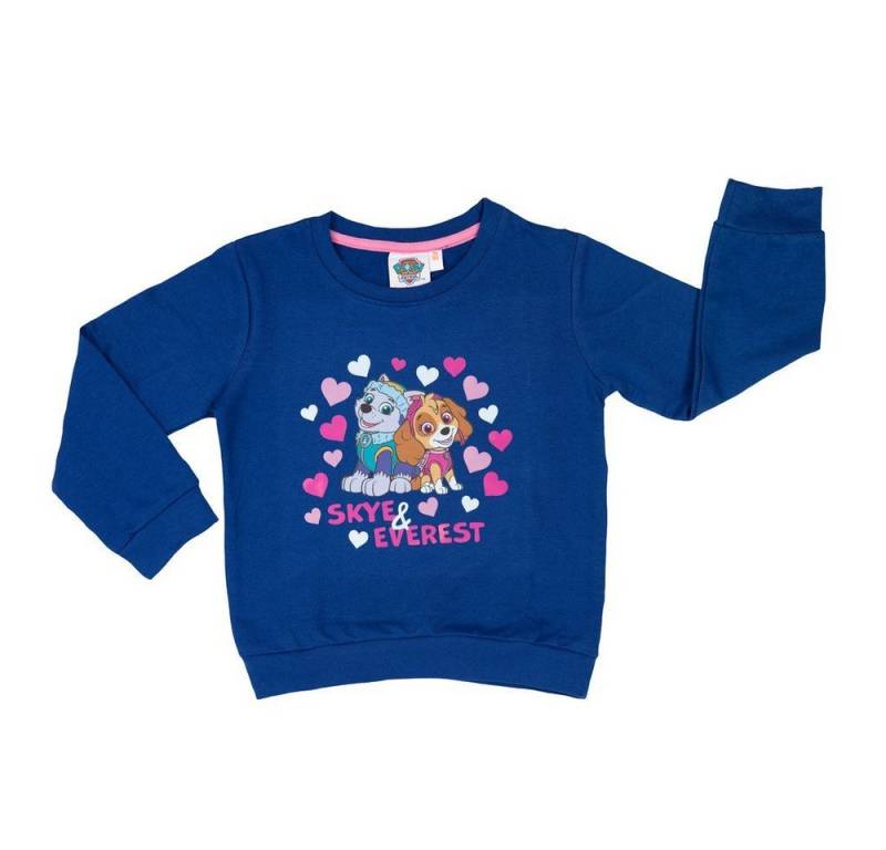 PAW PATROL Sweater Paw Patrol Skye und Everest Mädchen Kinder Pullover Gr. 98 bis 128 von PAW PATROL