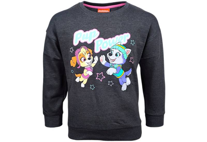 PAW PATROL Sweatshirt Skye & Everest Kinder Sweat-Pullover Größe 98 - 128 cm von PAW PATROL