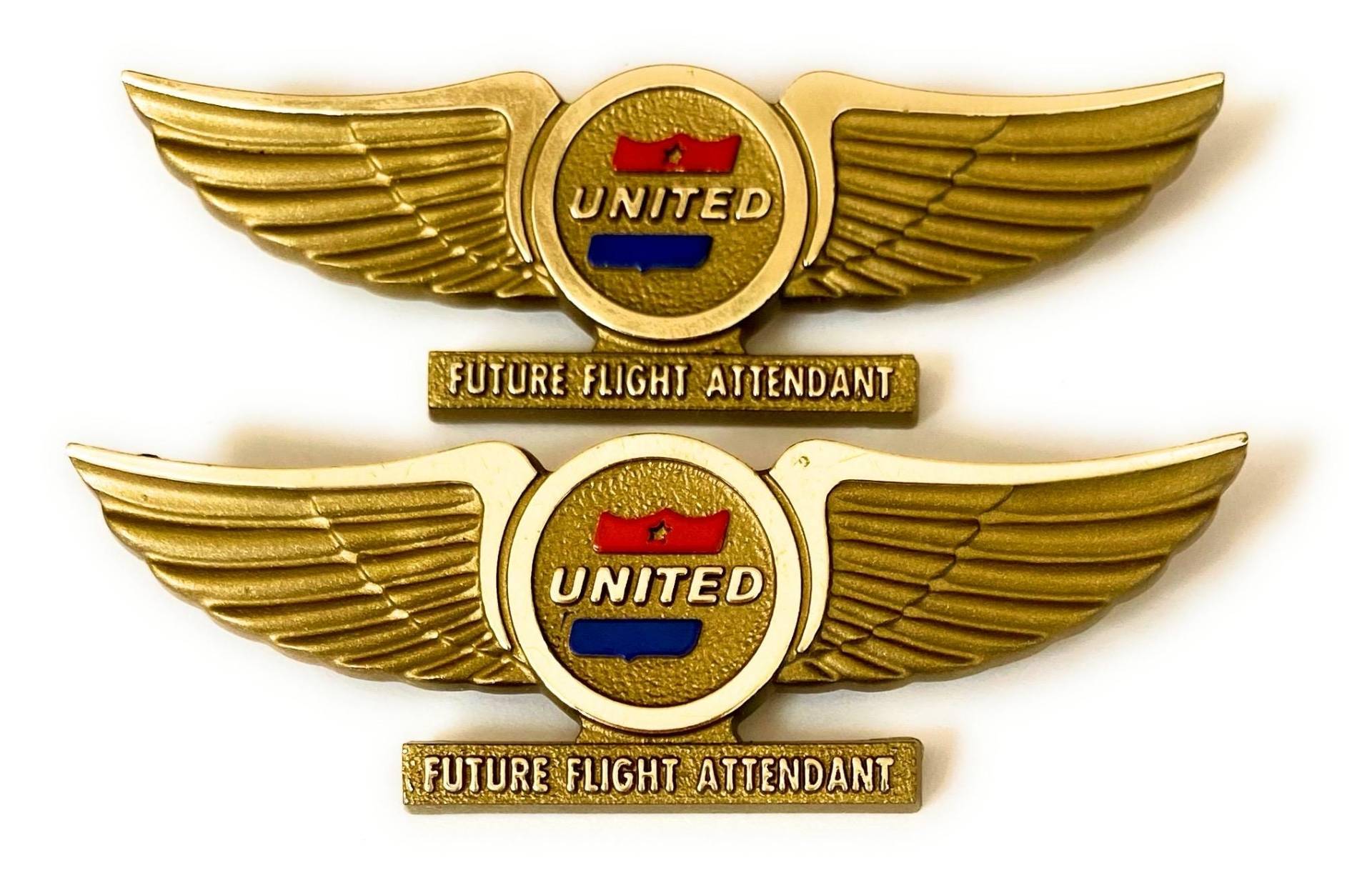 Vintage United Airlines 1970 Zukunft Stewardess Kiddie Flügel Pin Vintage United Airlines 1970 Zukunft Stewardess Kiddie Flügel Pin von PCTWEST