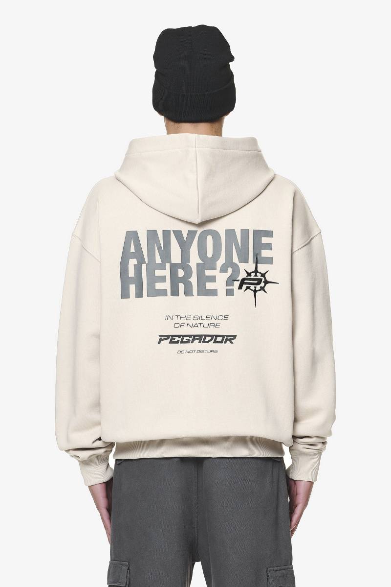 Gien Oversized Sweat Jacket Washed Dust Cream von PEGADOR®
