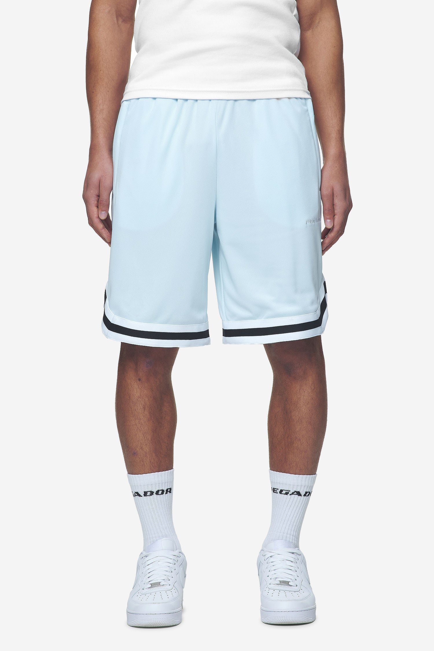 Lansing Basketball Shorts Baby Blue von PEGADOR®