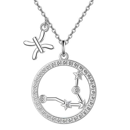 PEIMKO 12 Zodiac Halskette Constellation Schmuck für Frauen Mädchen, Horoskop Anhänger Zodiac Halskette 18 +2 Zoll weiß plattierte Kette Halsketten (Fische (2.19-3.20)) von PEIMKO