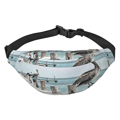 Coast Bird Bauchtasche für Damen und Herren, wasserdichte Gürteltasche, modische Umhängetasche, Hüfttaschen, Pack für Reisen, Sport, Wandern, Schwarz, Einheitsgröße, Schwarz , Einheitsgröße von PEIXEN