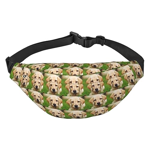 Cute Golden Retriever Puppy Fanny Pack for Women Men Waterproof Belt Bag Fashion Crossbody Waist Bags Pack for Travel Sports Hiking, Black, One Size, Schwarz , Einheitsgröße von PEIXEN